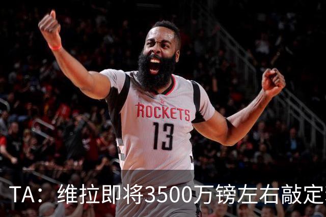 TA：维拉即将3500万镑左右敲定若昂·戈麦斯 并在谈租帕利尼亚